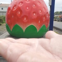 画像248